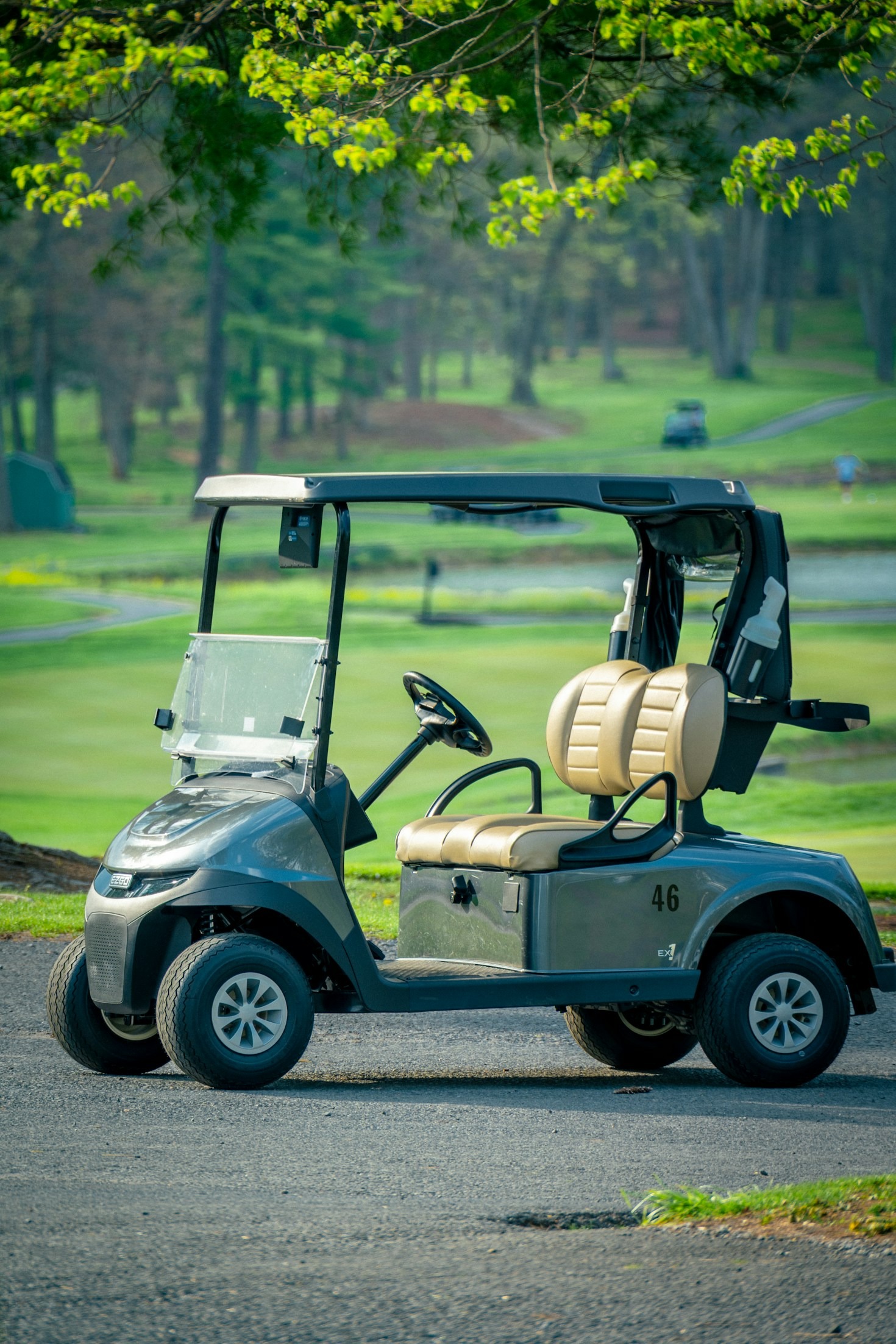 Tips for Maintaining Your Golf Cart in Peak Condition